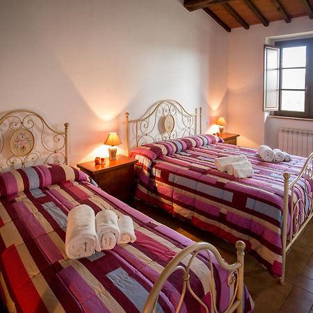 Agriturismo La Collina Del Sole Coltavolino Extérieur photo